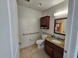 La salle de bains est pourvue de toilettes, d'un lavabo et d'un miroir. dans l'établissement Luxurious 1 Bed 1 Bath Stay at the Historic Inman, à Champaign