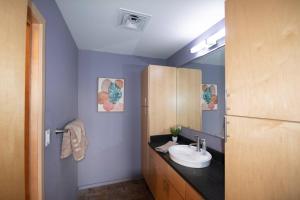 a bathroom with a sink and a mirror at Luxury Condo in Downtown Champaign in Champaign +14 photos