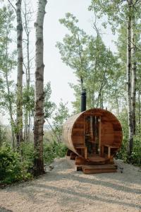 uma cabana de madeira no meio de uma floresta em Refuge Bay's Aqua Tiny Home - Luxury Off Grid Escape 