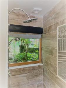 La salle de bains est pourvue d'une douche et d'une fenêtre. dans l'établissement Le Cocon, à Verrières