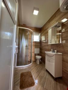 a bathroom with a shower and a toilet and a sink at Apartment Kovach Kuti in Herceg-Novi