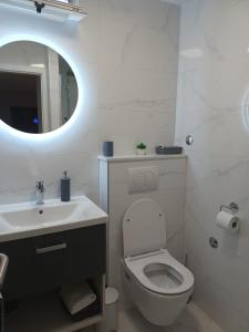 a bathroom with a toilet and a sink and a mirror at Apartman Skoko in Sevid +19 photos