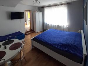 um quarto com uma cama, uma mesa e uma janela em Nadzieja em Jastrzebia Gora