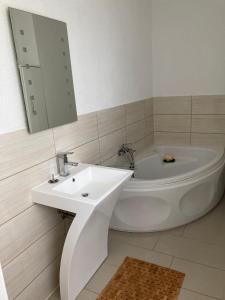 a bathroom with a sink and a tub and a mirror at Villa Rosengarten in Blankenburg