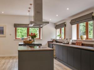een keuken met grijze werkbladen, ramen en een fornuis bij Dodds Barn in Fersfield