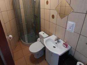 uma casa de banho com um WC e um lavatório em Nadzieja em Jastrzebia Gora