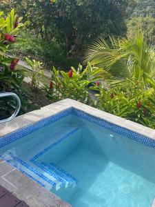 a swimming pool with blue tiles in a yard at Montete Cottages in Choiseul