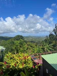 - une vue sur la jungle depuis le balcon d'une maison dans l'établissement Montete Cottages, à Choiseul