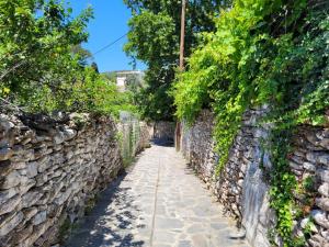 an alley in a stone wall at Villa Matakia in Áno Potamiá