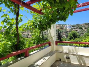a balcony with a view of a bunch of grapes at Villa Matakia in Áno Potamiá