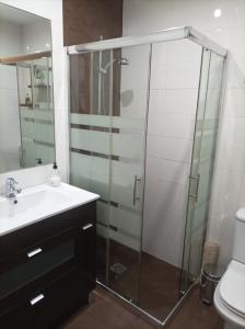 La salle de bains est pourvue d'une douche en verre et d'un lavabo. dans l'établissement El Loft de Cris, à Béjar