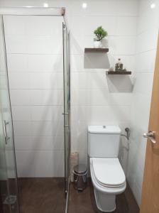 La salle de bains est pourvue de toilettes et d'une douche en verre. dans l'établissement El Loft de Cris, à Béjar