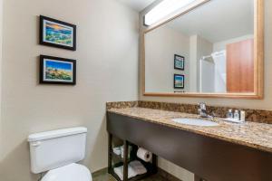 une salle de bain avec un lavabo, des toilettes et un miroir dans l'établissement Comfort Inn & Suites Mitchell I-90, à Mitchell