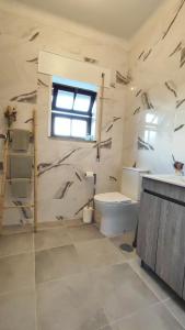 ein Bad mit einem WC, einem Waschbecken und einem Fenster in der Unterkunft Li-miana Alojamento Local in Ponte de Lima