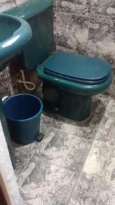a bathroom with a green toilet and a sink at Sítio Gacied in Suzano