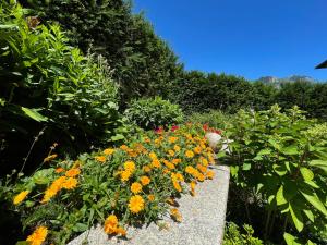 A garden outside Hotel Hochsteg Gütl | Traunsee Salzkammergut