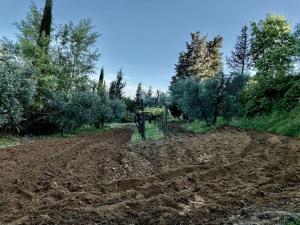 A garden outside Podere San Giorgio