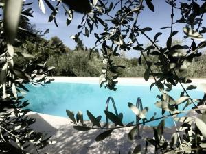 The swimming pool at or close to Podere San Giorgio