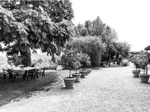 A garden outside Podere San Giorgio