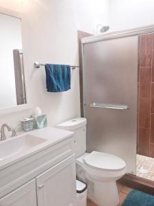 een badkamer met een toilet, een wastafel en een douche bij George Gardens in Ramona