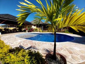una palmera en una olla junto a una piscina en TAHITI - Vaiparaoa Villa, en Punaauia