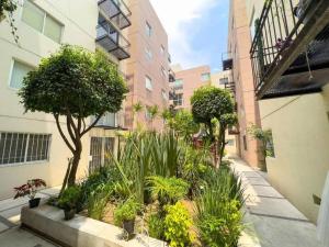 un patio con plantas y árboles en un edificio en Hermoso departamento con internet veloz cerca de Polanco, en Ciudad de México