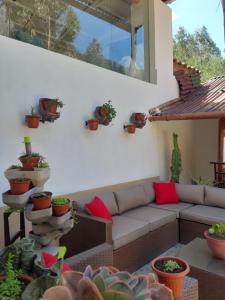 a living room with a couch and lots of potted plants at Casa Turística Las Tunas - Habitación: Apu Marcahuiri in Sicuani