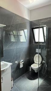 een badkamer met een toilet en een wastafel bij Hotel Nemercka in Përmet