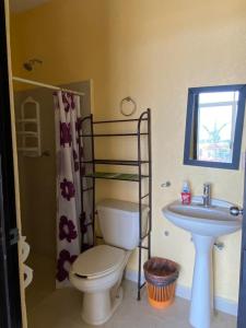 a bathroom with a toilet and a sink at CONDOMINIO PALMEIRAS in Acapulco