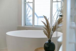 a vase with a plant in it in a room at Noosa Blue Resort in Noosa Heads