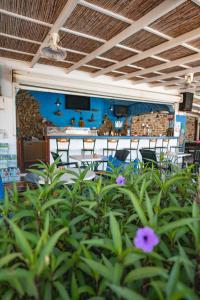 a restaurant with tables and chairs and flowers in the foreground at Karpathios Studios Pefkos in Pefki