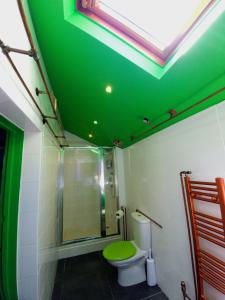 a bathroom with a green ceiling with a toilet and a shower at Copper Cottage tucked away near Brighton Station in Brighton & Hove