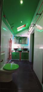 a bathroom with a green ceiling and a green sink at Copper Cottage tucked away near Brighton Station in Brighton & Hove