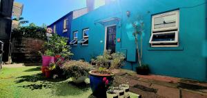 a blue house with potted plants in front of it at Copper Cottage tucked away near Brighton Station in Brighton & Hove