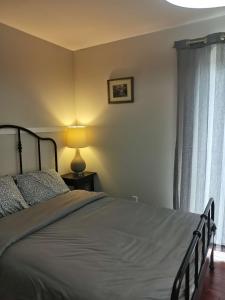 um quarto com uma cama, um candeeiro e uma janela em Lily room near golf and banff costco newly renovated double bed Single bathroom sofa TV em Calgary