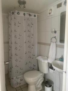 een kleine badkamer met een toilet en een wastafel bij HOSTAL AONKEN in Coihaique