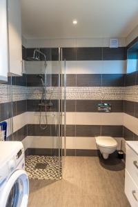 een badkamer met een toilet en een glazen douche bij Domek u Mai in Krośnica