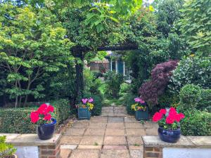a garden with potted plants and flowers in pots at Beehive Cottage in Wittersham