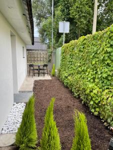 Κήπος έξω από το Apartma Tany +3 φωτογραφίες