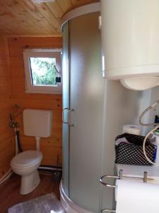 a small bathroom with a toilet and a window at Glamping hišice Orlič in Muta