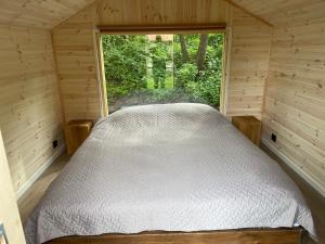 a bed in a small room with a window at Gervės dvaro svečių namelis in Vėžionys