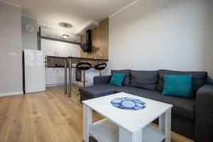 Apartament Strefa Czasu في تورون: غرفة معيشة مع أريكة وطاولة