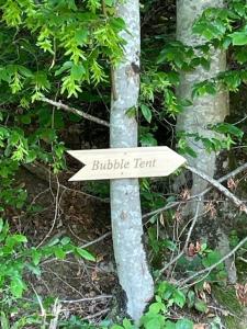 Un cartello che dice "Squadra di Bubbles" su un albero. di Bubble Tent Gutach- Schlafen unterm Sternenhimmel a Gutach im Breisgau