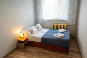 een kleine slaapkamer met een bed en een raam bij Apartament Plaza in Toruń