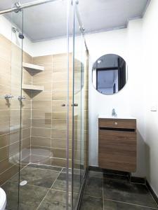 y baño con ducha, lavabo y espejo. en Apartaestudio para estrenar La Quinta, en Ibagué