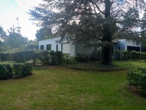 una casa blanca con un árbol en el patio en Lijsterlaan 42 en Kapellen