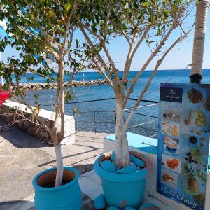 two trees in blue pots next to the ocean at San Georgio Hotel in Tsoutsouros