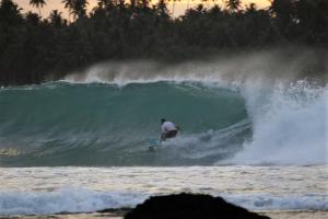 Hosté ubytování Nias Shady Palm surfcamp + 7 fotografií