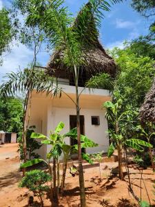 uma pequena casa com telhado de palha e árvores em Nebula Nest Cafe & Hostel em Auroville