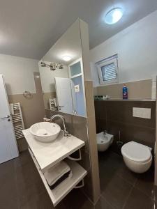 La salle de bains est pourvue d'un lavabo et de toilettes. dans l'établissement Apartments Villa Manda, à Novi Vinodolski